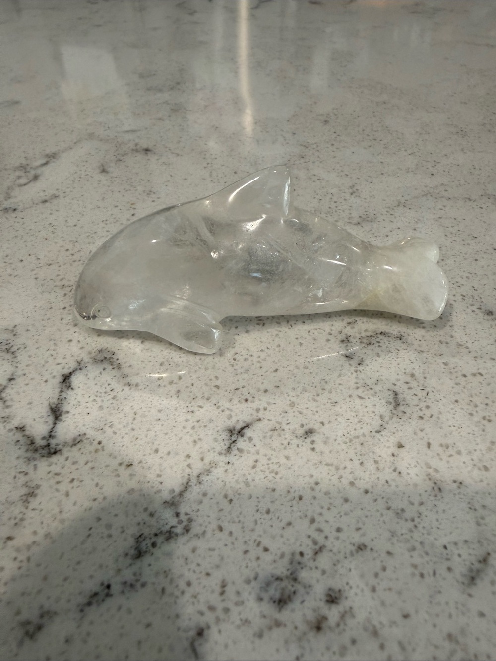 Clear Quartz Dolphin